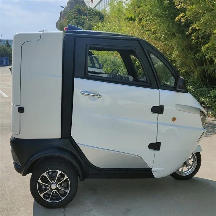 EEC 3-wheel Micro Electric Delivery Car For Pizza