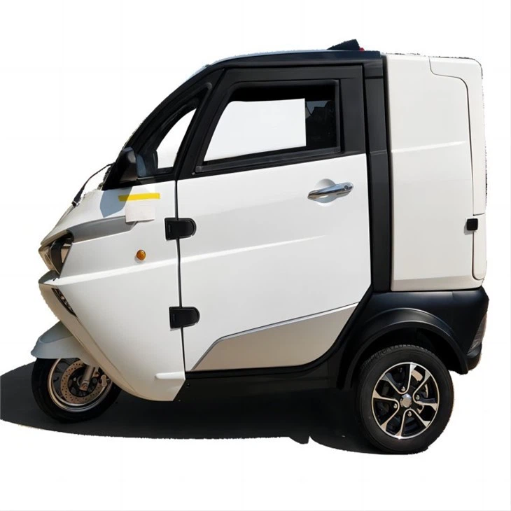 EEC 3-wheel Micro Electric Delivery Car For Pizza