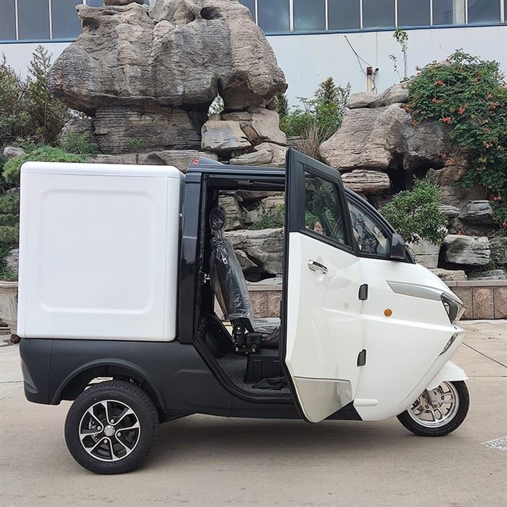 L5e China Pedal Cargo Tricycle New Energy Electric Delivery Vehicle With Van Box For Sale