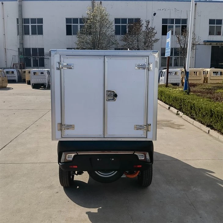 L5e China Pedal Cargo Tricycle New Energy Electric Delivery Vehicle With Van Box For Sale