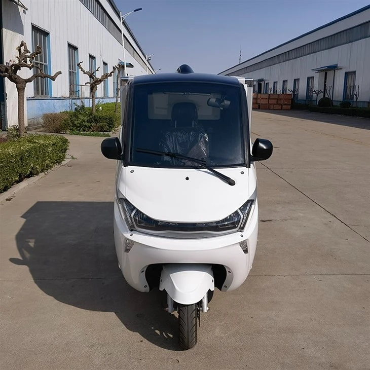 L5e China Pedal Cargo Tricycle New Energy Electric Delivery Vehicle With Van Box For Sale