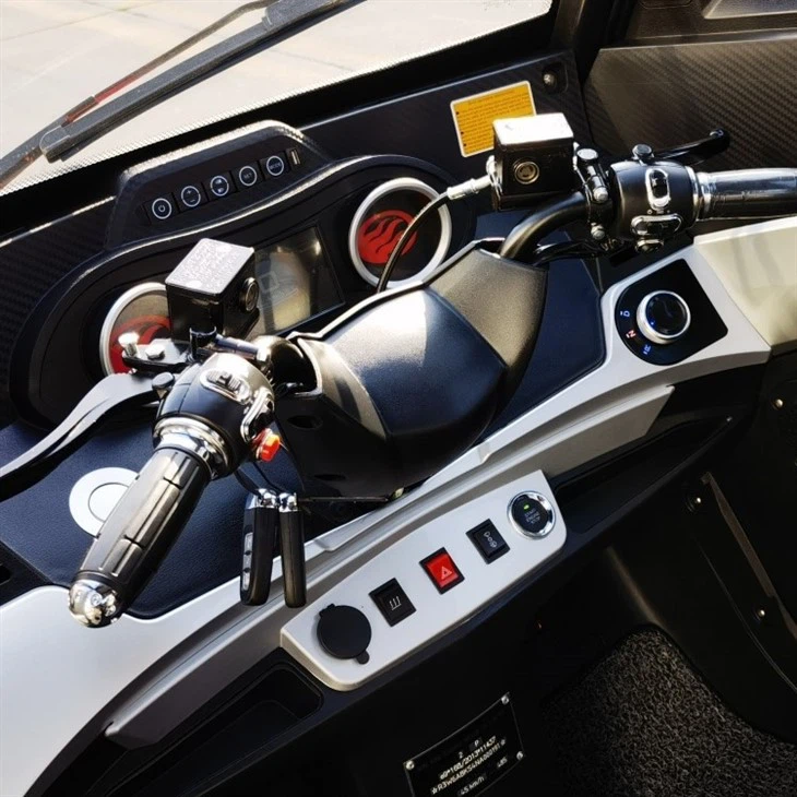 Low Price High Quality EEC Travel Tools Three Wheel Electric Tricycle Scooter