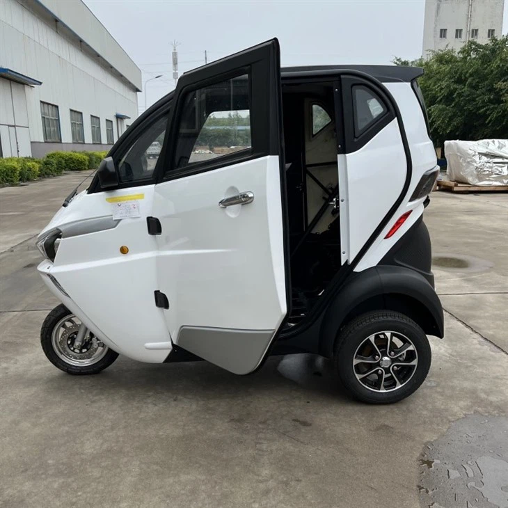 Low Price High Quality EEC Travel Tools Three Wheel Electric Tricycle Scooter