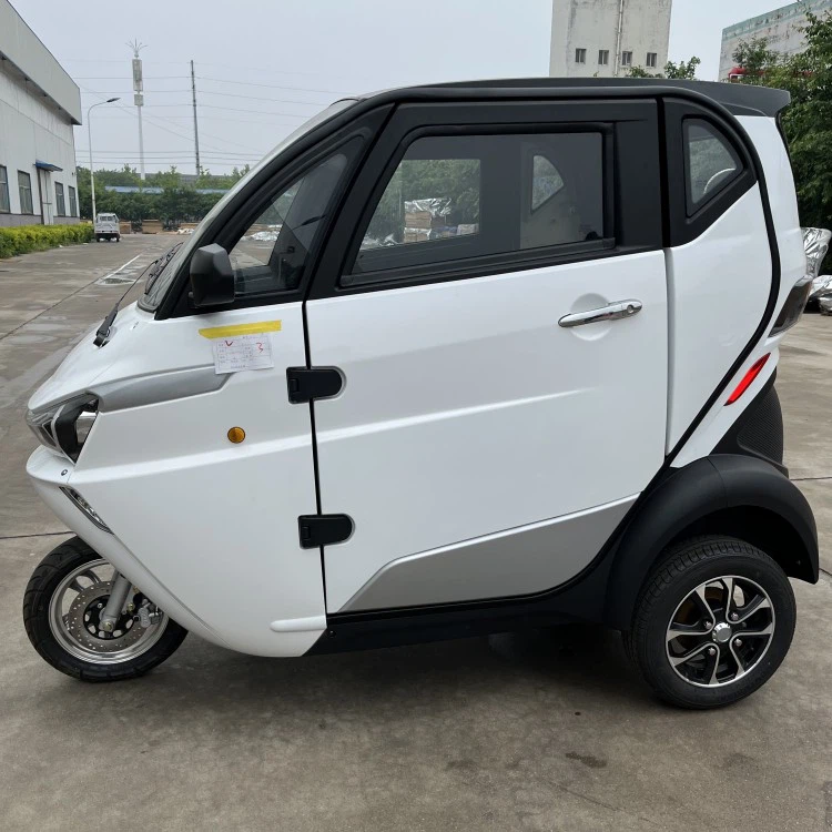 Three Wheel Electric Tricycle No License